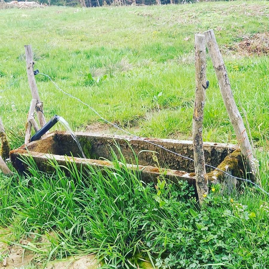 Landhaus Eibelesee Oberstaufen Eksteriør bilde