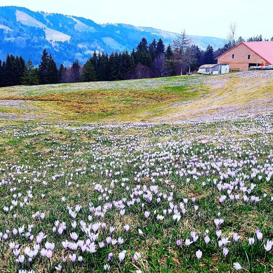 Landhaus Eibelesee Oberstaufen Eksteriør bilde