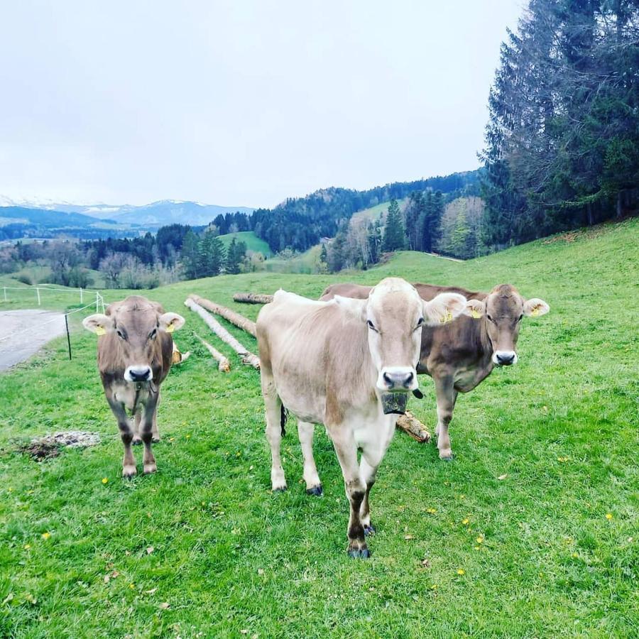Landhaus Eibelesee Oberstaufen Eksteriør bilde