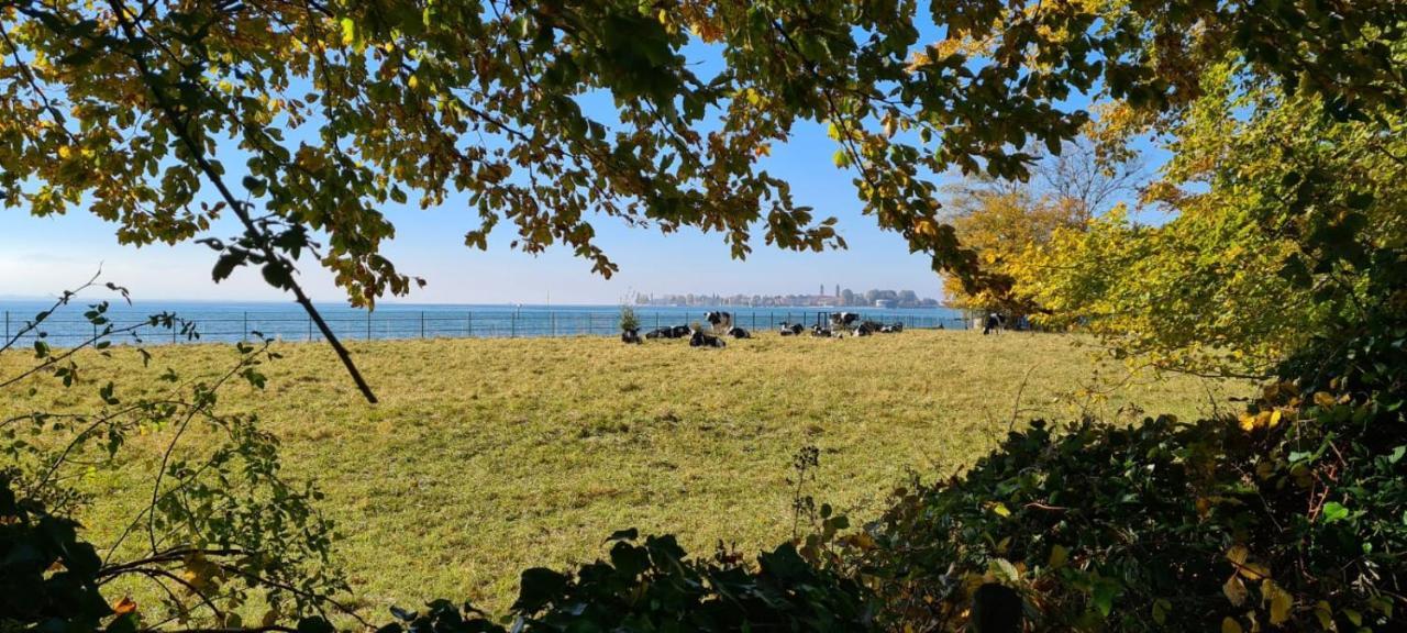 Landhaus Eibelesee Oberstaufen Eksteriør bilde