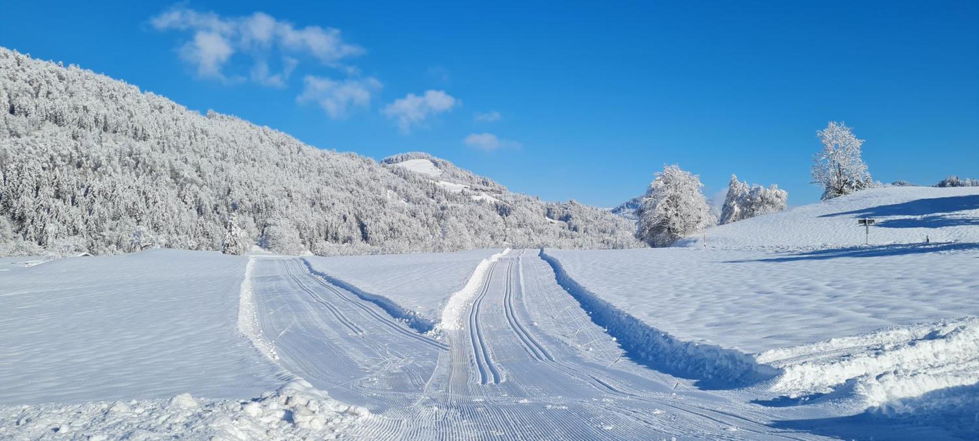 Landhaus Eibelesee Oberstaufen Eksteriør bilde