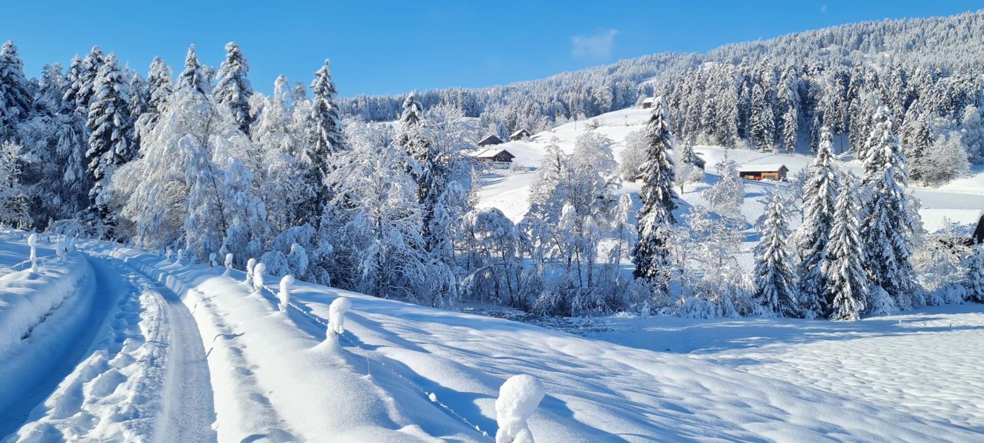 Landhaus Eibelesee Oberstaufen Eksteriør bilde